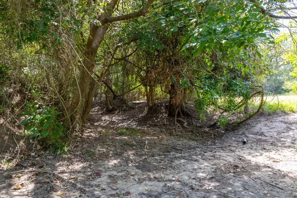 $1,485,000 | 230 Weimar Tx 78962, Weimar, TX 78962