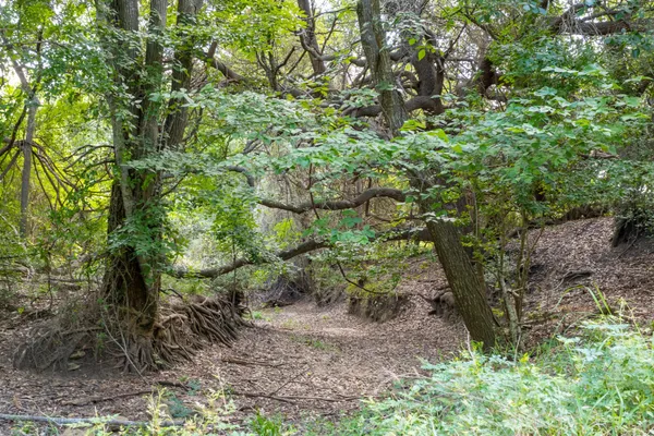 $1,485,000 | 230 Weimar Tx 78962, Weimar, TX 78962