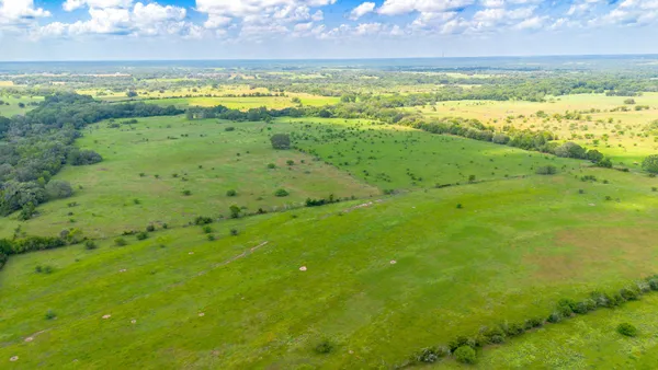 a view of an ocean and a yard