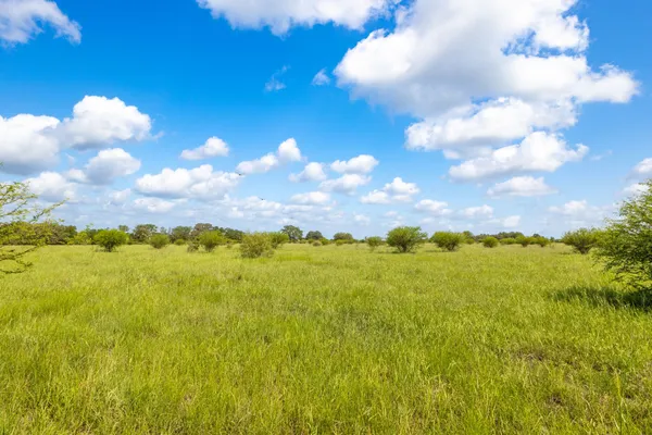 a view of an ocean and a mountain
