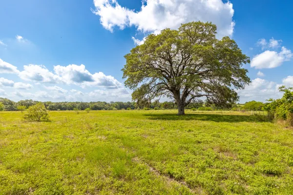 a backyard of a house with lots of green space