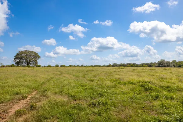 a view of a field with trees in the background