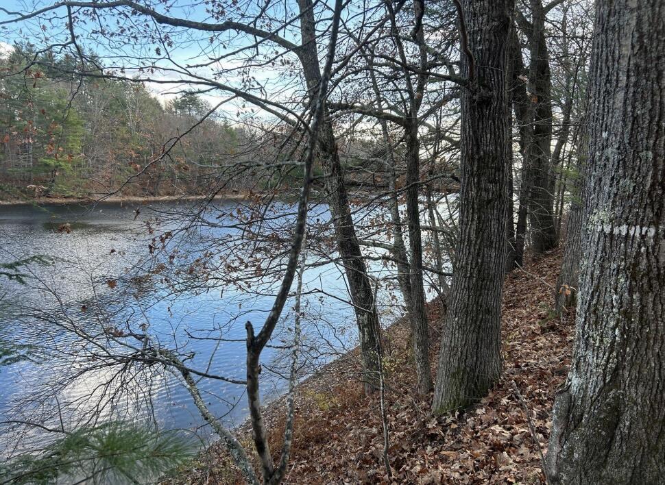 14 River Road Kennebunkport, ME 04046 - Photo 2 of 3 0 River