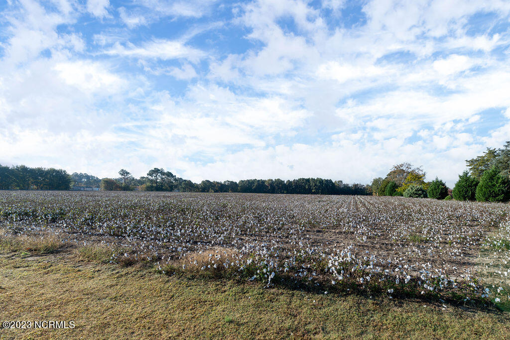 217 Emperor Landing Road Edenton, NC 27932 - Photo 11 of 32 Leased Cotton Field