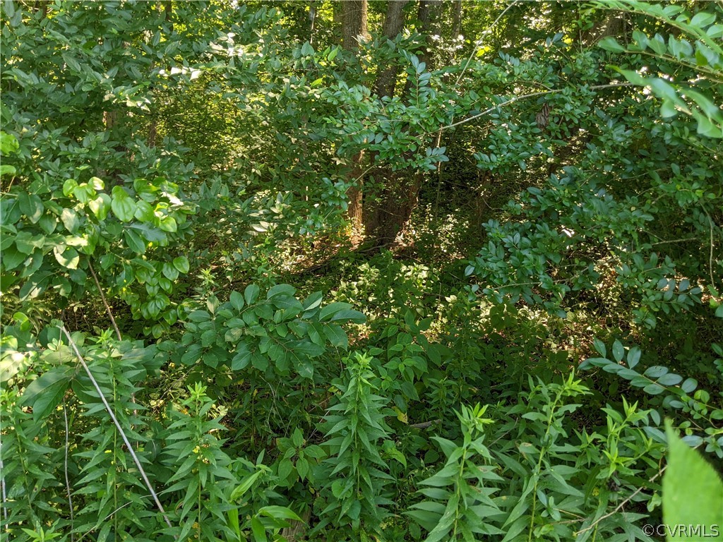 0 Little Creek Road Dillwyn, VA 23936 - Photo 11 of 17 Gallery Image 11