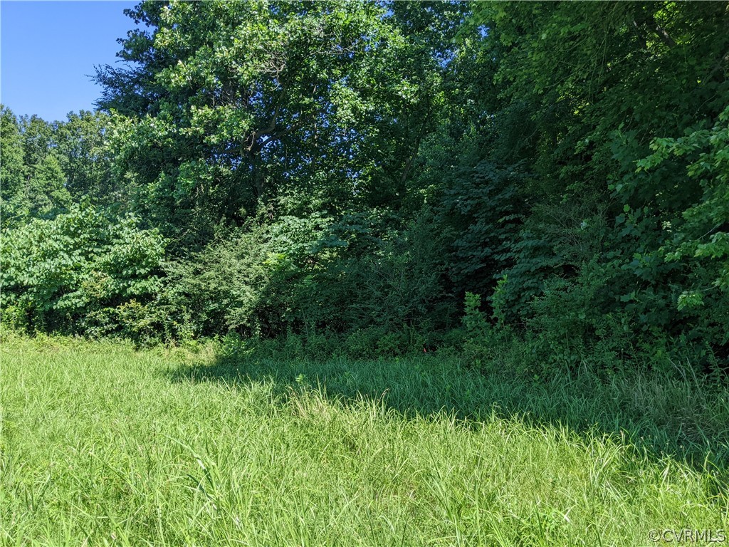 0 Little Creek Road Dillwyn, VA 23936 - Photo 13 of 17 Gallery Image 13