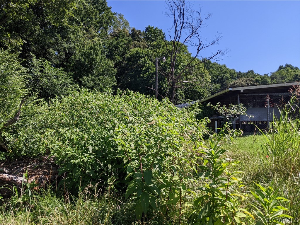 0 Little Creek Road Dillwyn, VA 23936 - Photo 16 of 17 Gallery Image 16