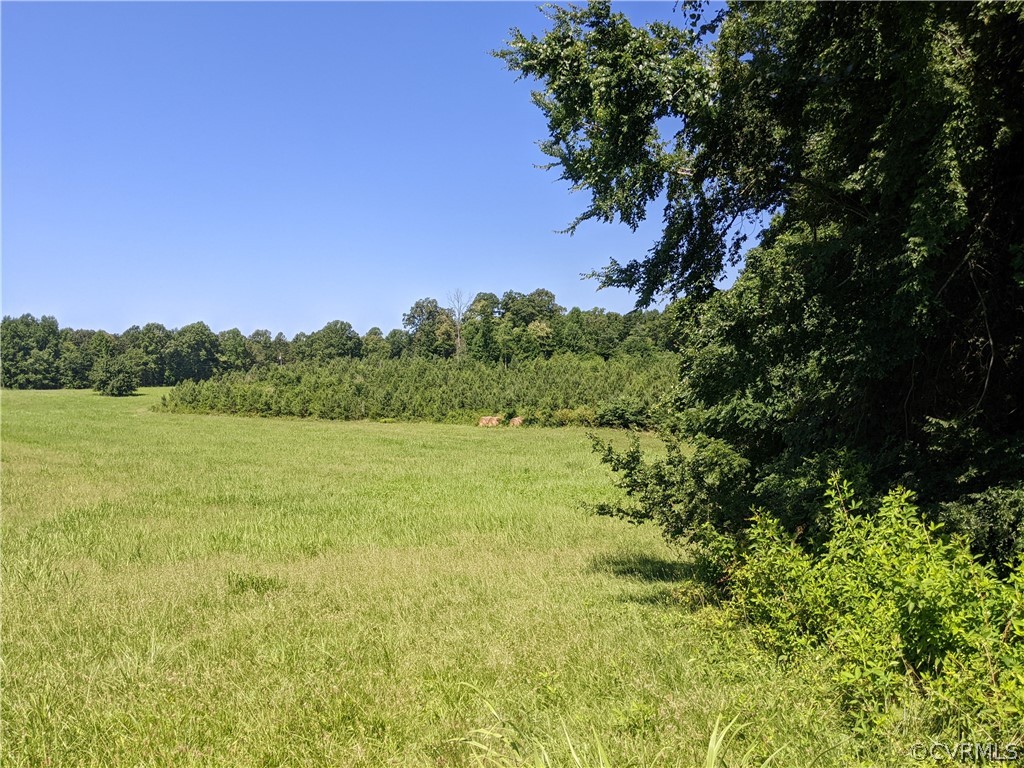 0 Little Creek Road Dillwyn, VA 23936 - Photo 17 of 17 Gallery Image 17