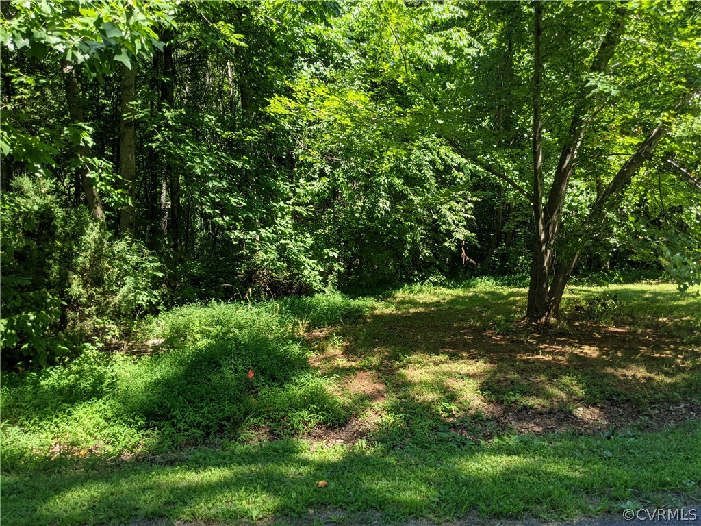 0 Little Creek Road Dillwyn, VA 23936 - Photo 2 of 17 Gallery Image 2