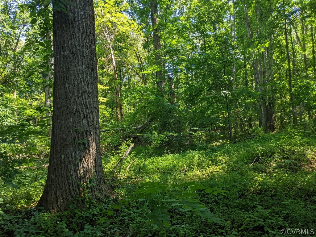 0 Little Creek Road Dillwyn, VA 23936 - Photo 8 of 17 Gallery Image 8