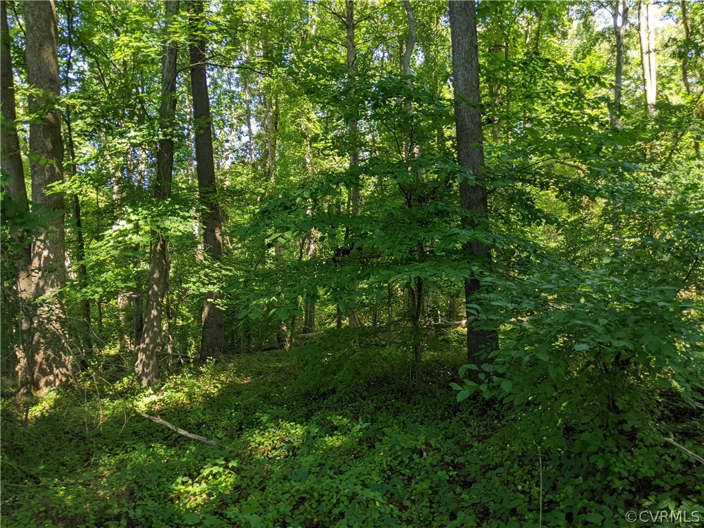 0 Little Creek Road Dillwyn, VA 23936 - Photo 9 of 17 Gallery Image 9