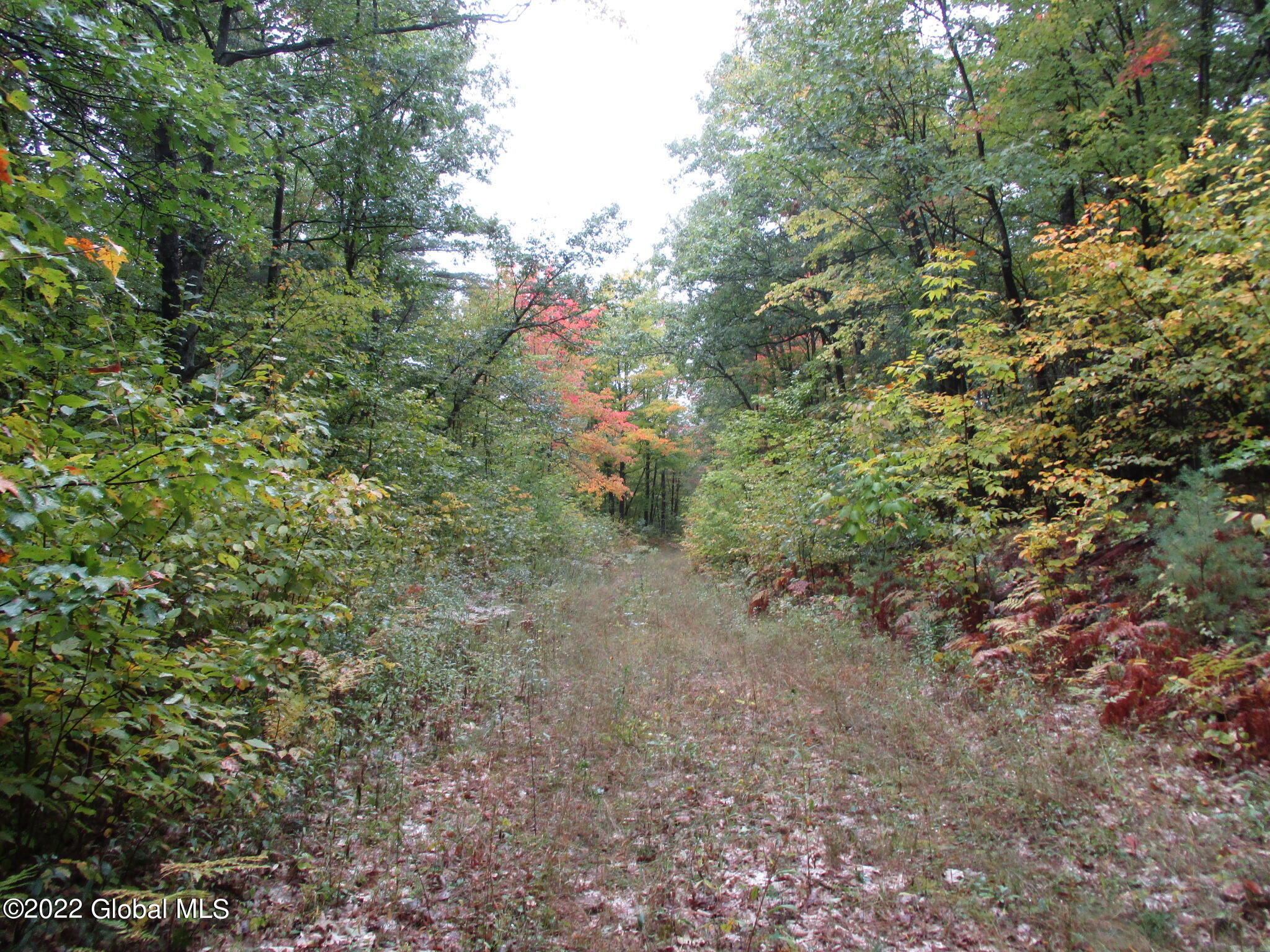 L1 Clintonville Road Keeseville, NY 12924 - Photo 1 of 1 Access Road
