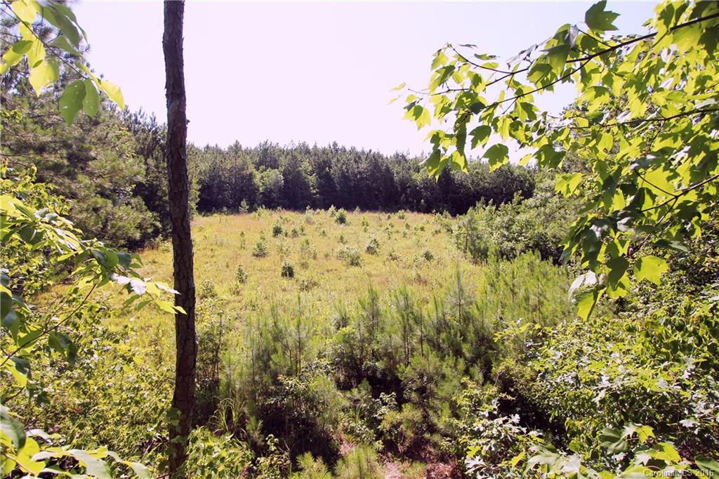 1728 Stanback Ferry Road Wadesboro, NC 28170 - Photo 2 of 24 Gallery Image 2