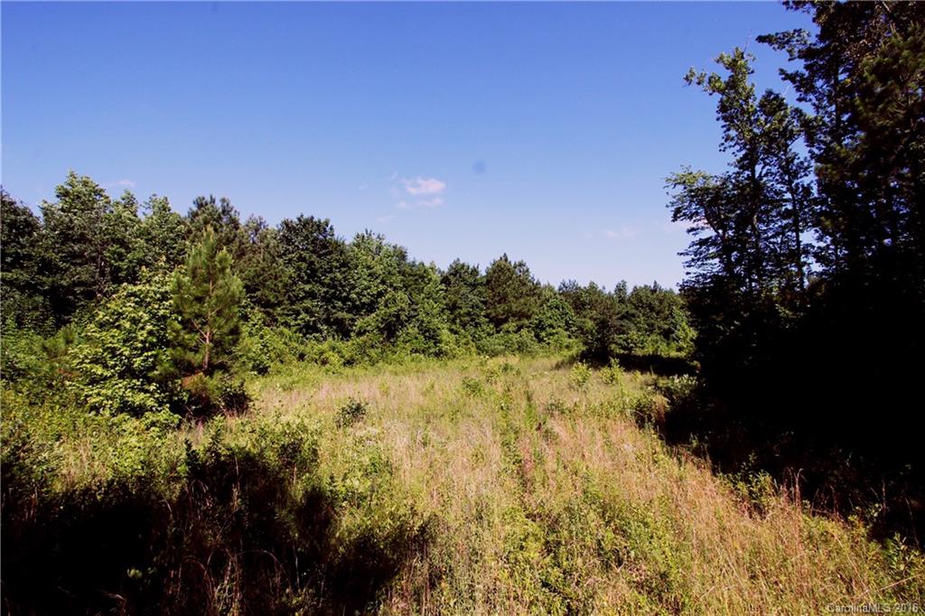 1728 Stanback Ferry Road Wadesboro, NC 28170 - Photo 16 of 24 Gallery Image 16