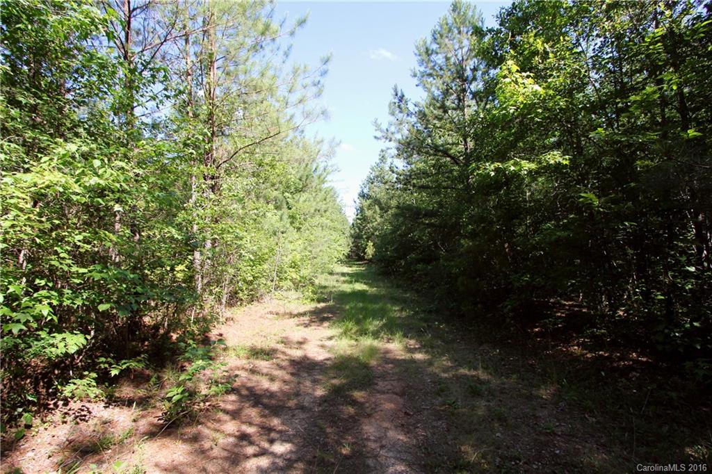 1728 Stanback Ferry Road Wadesboro, NC 28170 - Photo 17 of 24 Gallery Image 17