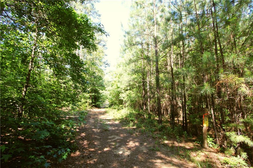 1728 Stanback Ferry Road Wadesboro, NC 28170 - Photo 19 of 24 Gallery Image 19