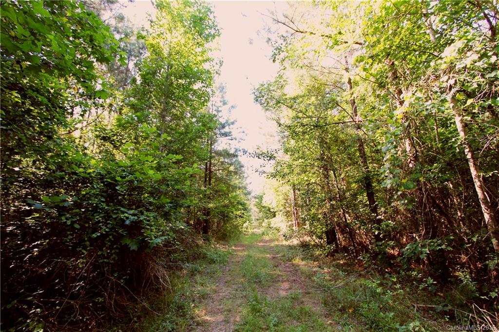 1728 Stanback Ferry Road Wadesboro, NC 28170 - Photo 20 of 24 Gallery Image 20