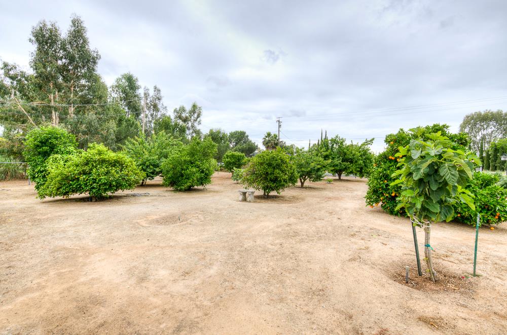 17465 Monreal Road Madera, CA 93636 - Photo 17 of 59