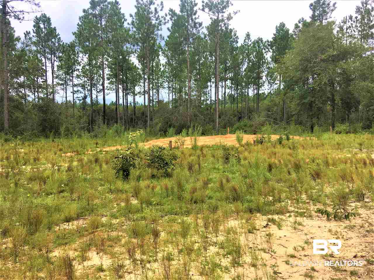 0 Dyas Road Perdido, AL 36562 - Photo 2 of 7 Gallery Image 2