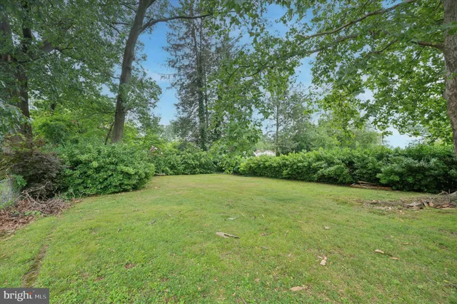 a view of a big yard with plants and large trees