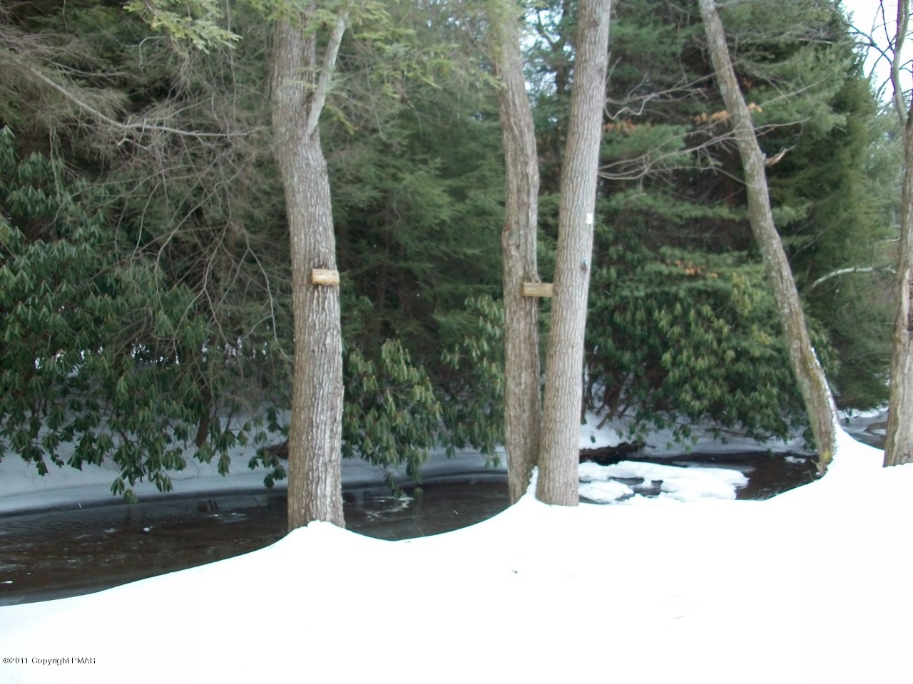 Merwinsburg Road Effort, PA 18330 - Photo 13 of 13 a view of a backyard of a house