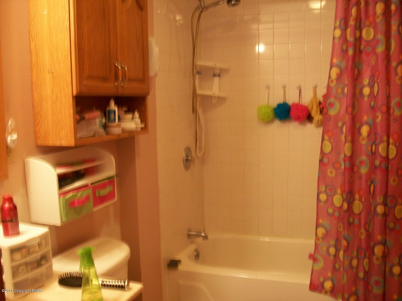 Merwinsburg Road Effort, PA 18330 - Photo 9 of 13 a bathroom with a bathtub and shower