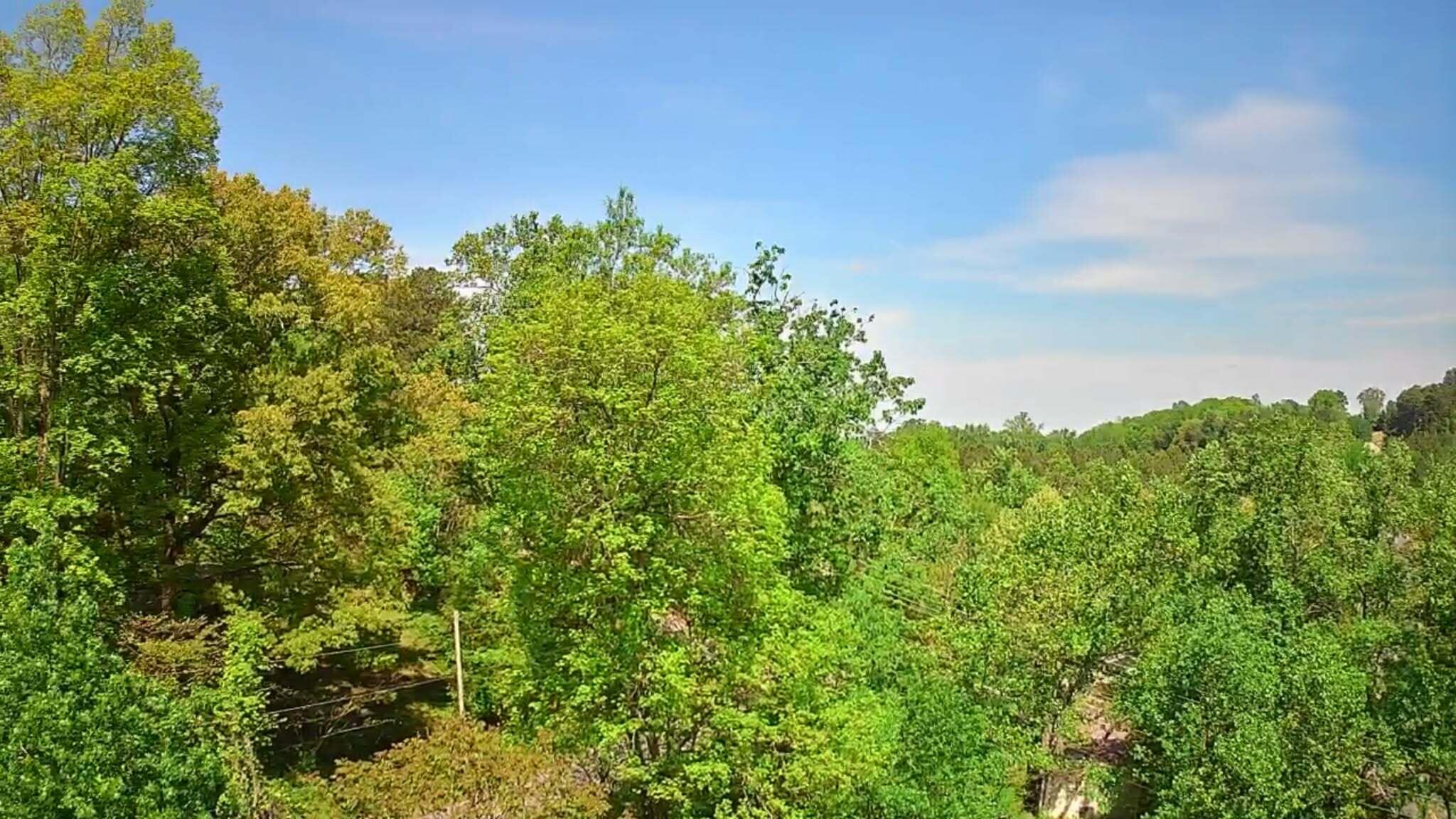 3734 Highway 41 Ringgold, GA 30736 - Photo 1 of 42 42fcf116-0619-463e-829a-e975d8cd6267
