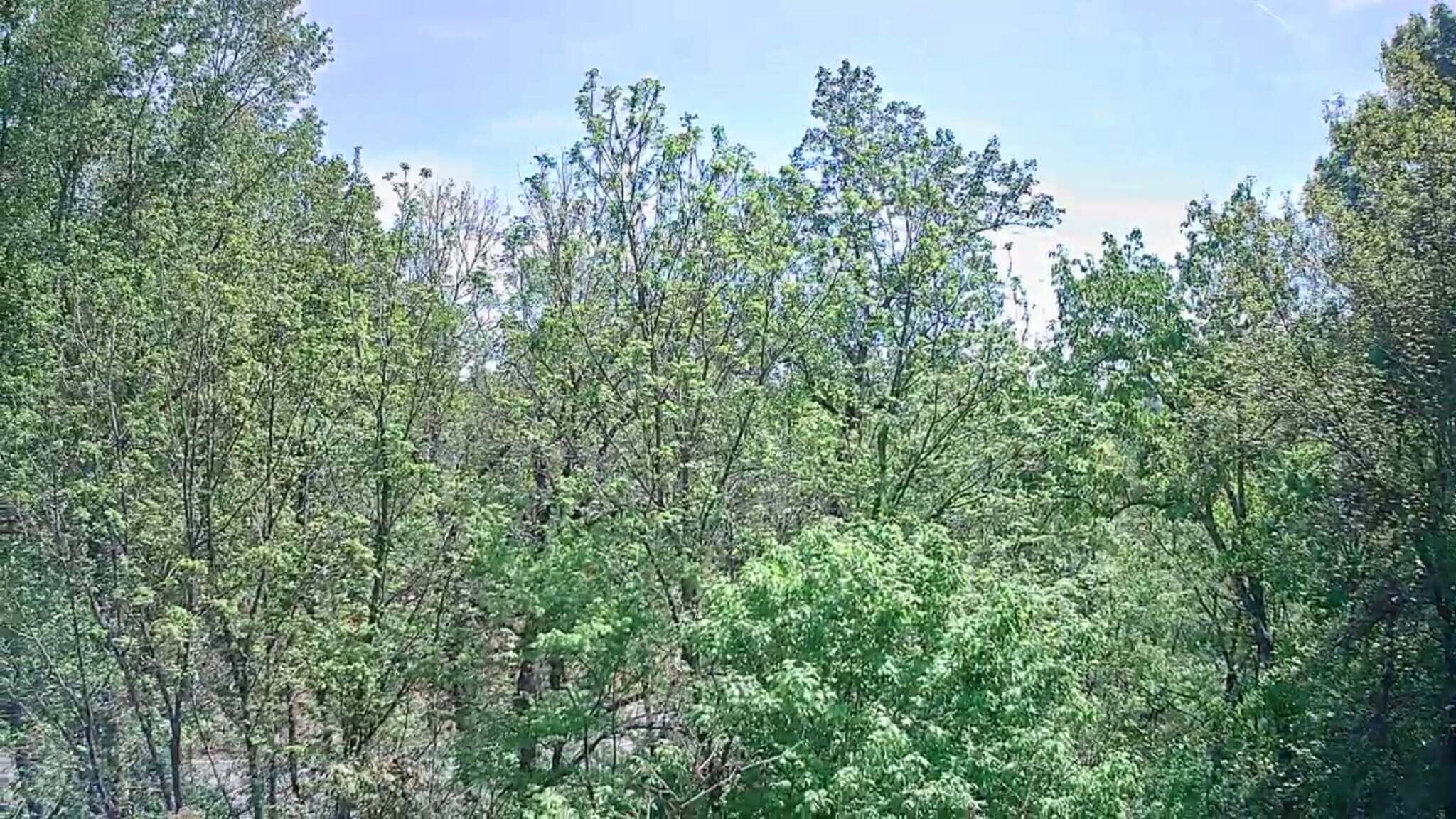 3734 Highway 41 Ringgold, GA 30736 - Photo 11 of 42 9c0f453a-5520-467f-805c-5763dd4937f2