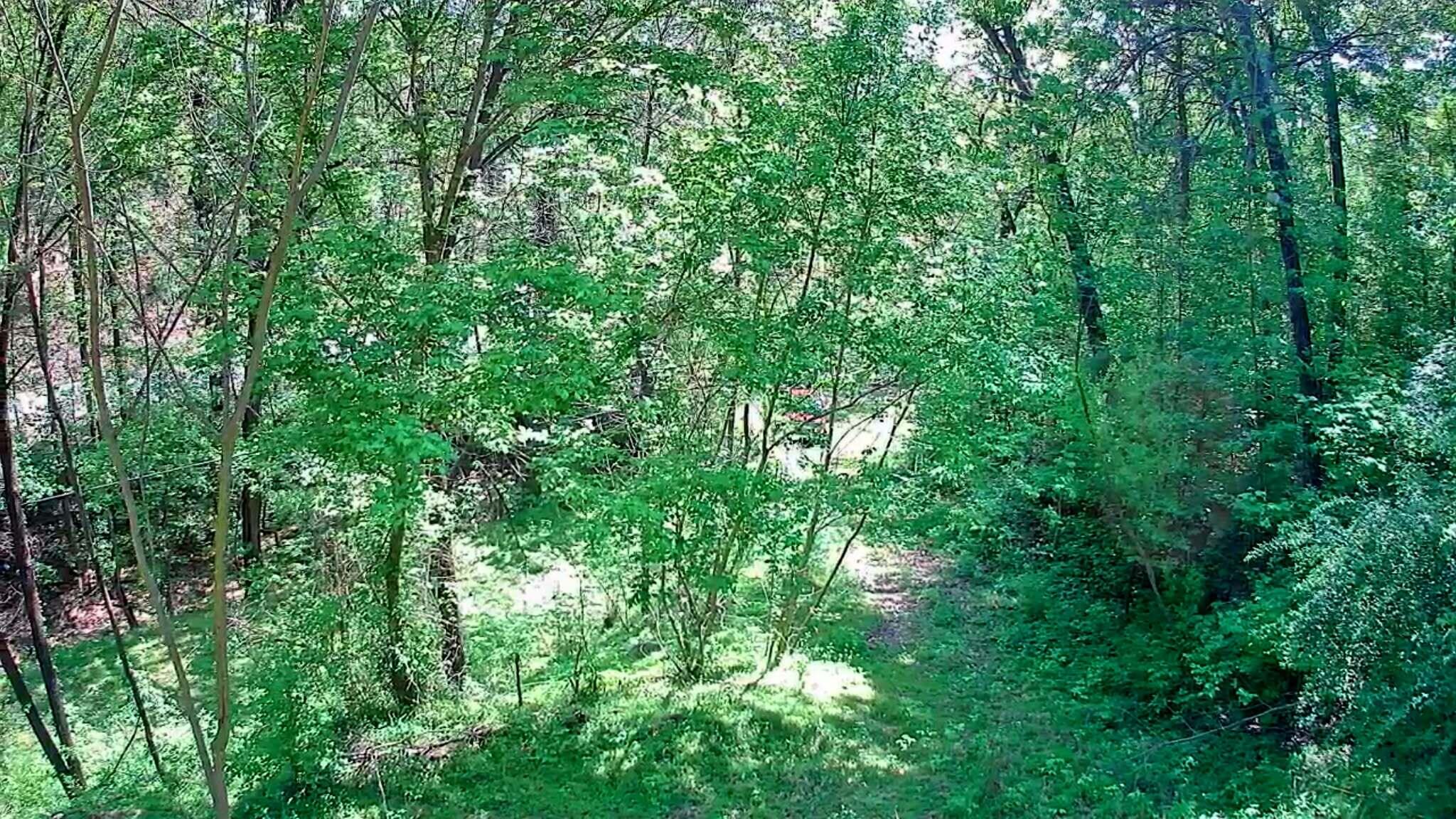 3734 Highway 41 Ringgold, GA 30736 - Photo 15 of 42 60f68378-f93d-4893-adb2-a240d1f5727b