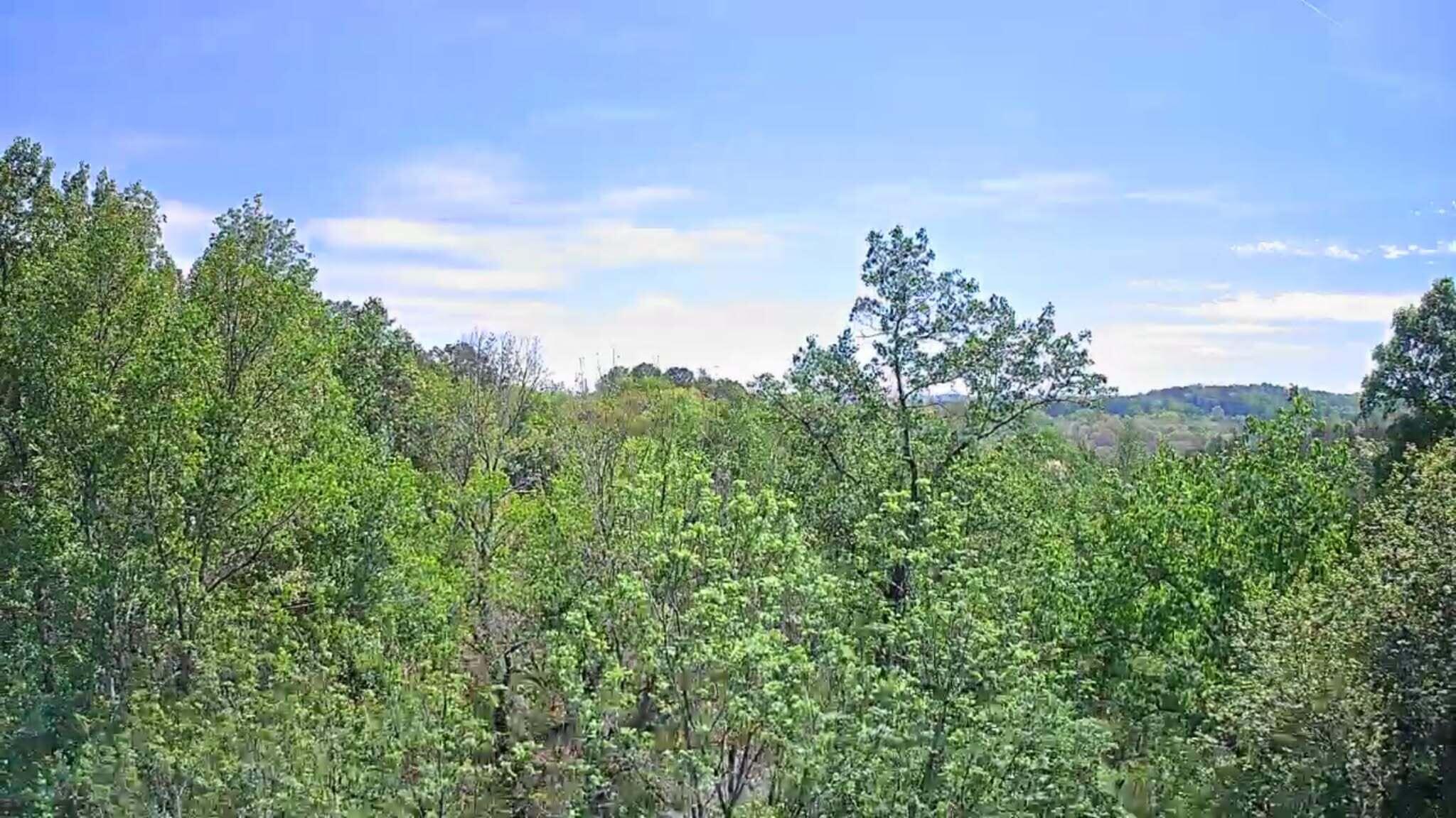 3734 Highway 41 Ringgold, GA 30736 - Photo 21 of 42 908fd765-4ad2-4d41-b5ad-4abfa3b33c63