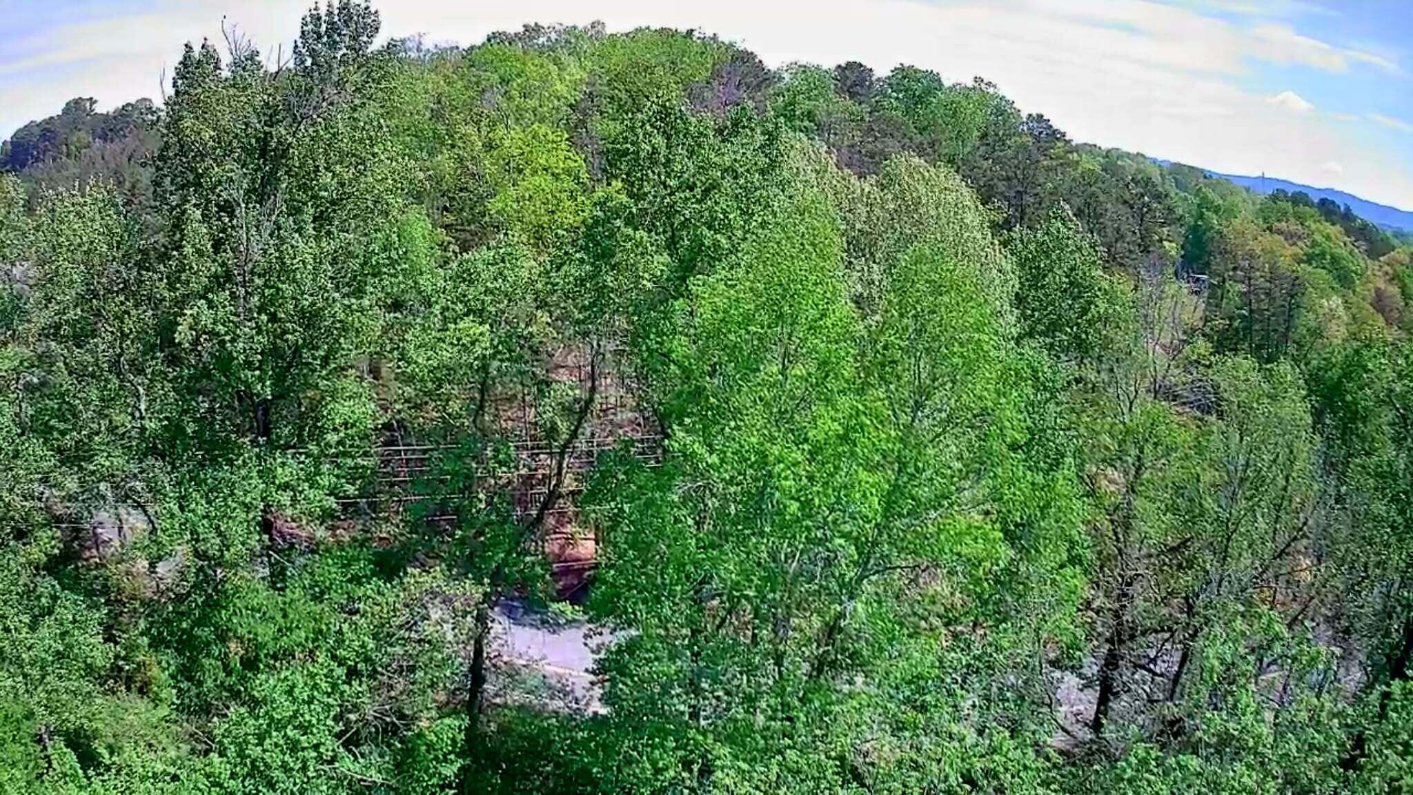 3734 Highway 41 Ringgold, GA 30736 - Photo 23 of 42 7867ec2d-58f3-4770-8783-a94e2a7efa4c