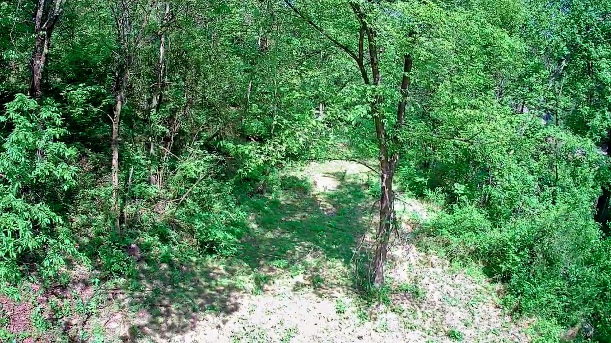 3734 Highway 41 Ringgold, GA 30736 - Photo 24 of 42 24777e3d-2ce3-4990-a0c2-15ee6036323b