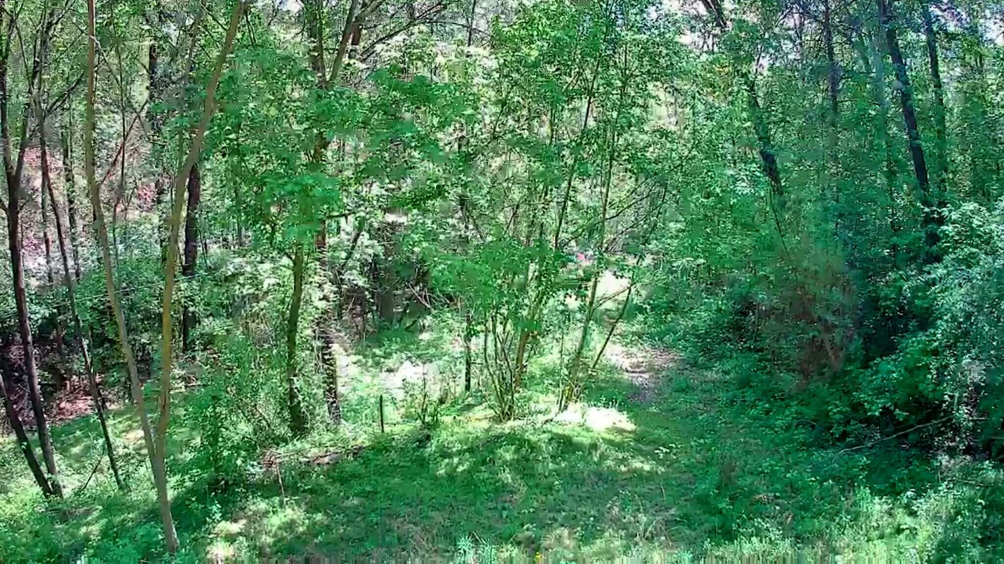 3734 Highway 41 Ringgold, GA 30736 - Photo 25 of 42 56551d85-c897-458a-bc5b-d81d99a9d4ff