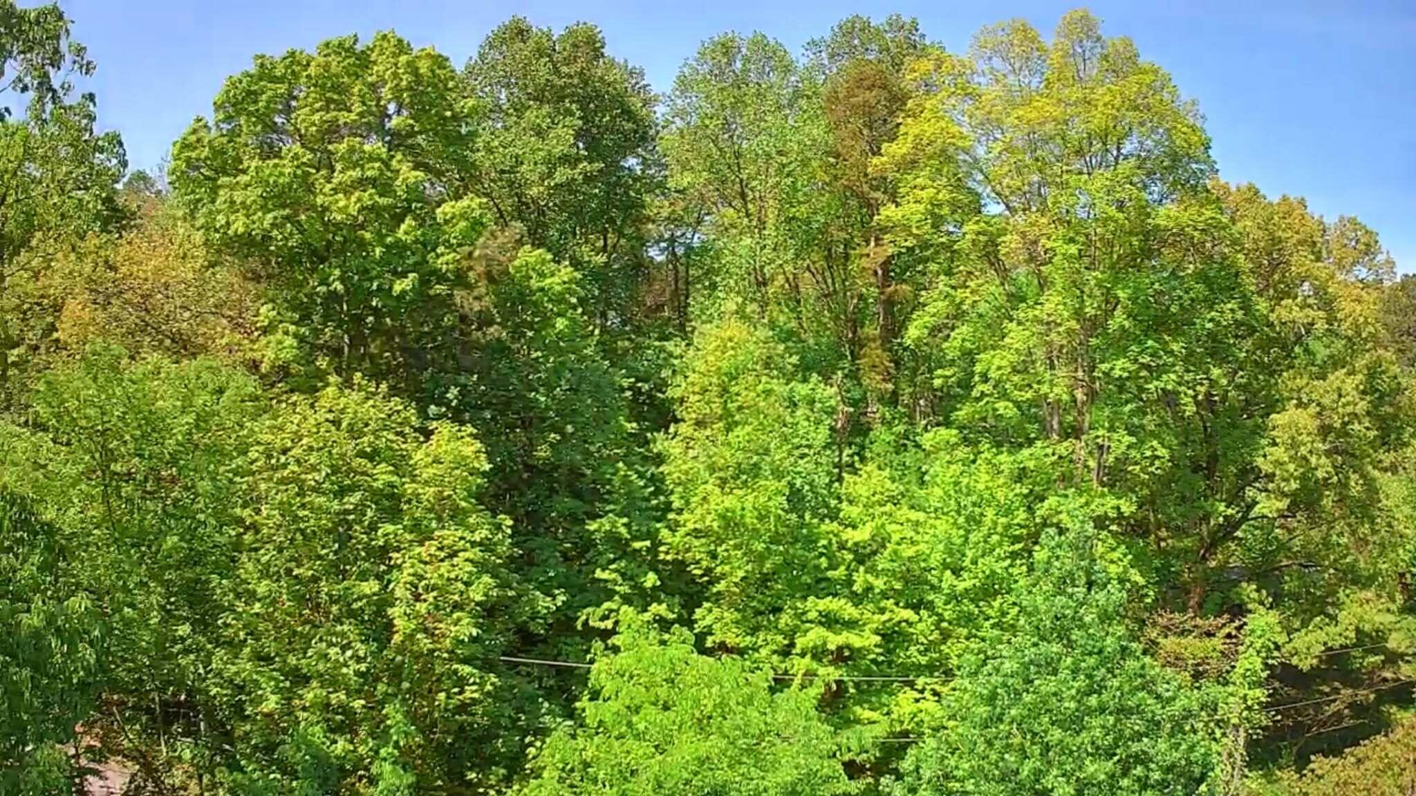 3734 Highway 41 Ringgold, GA 30736 - Photo 26 of 42 73163cff-bcc4-486e-9886-bf9880e097bb