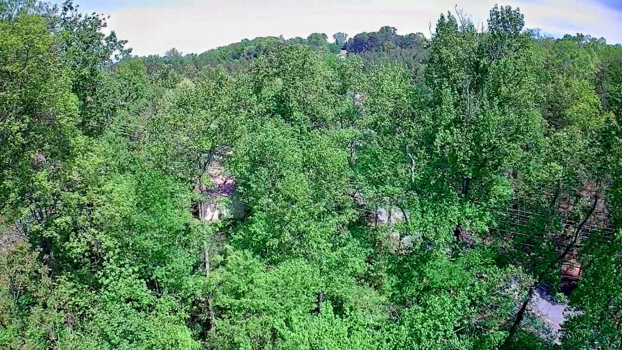 3734 Highway 41 Ringgold, GA 30736 - Photo 28 of 42 a762a573-e4bc-4b62-a54f-79f8ca180daf