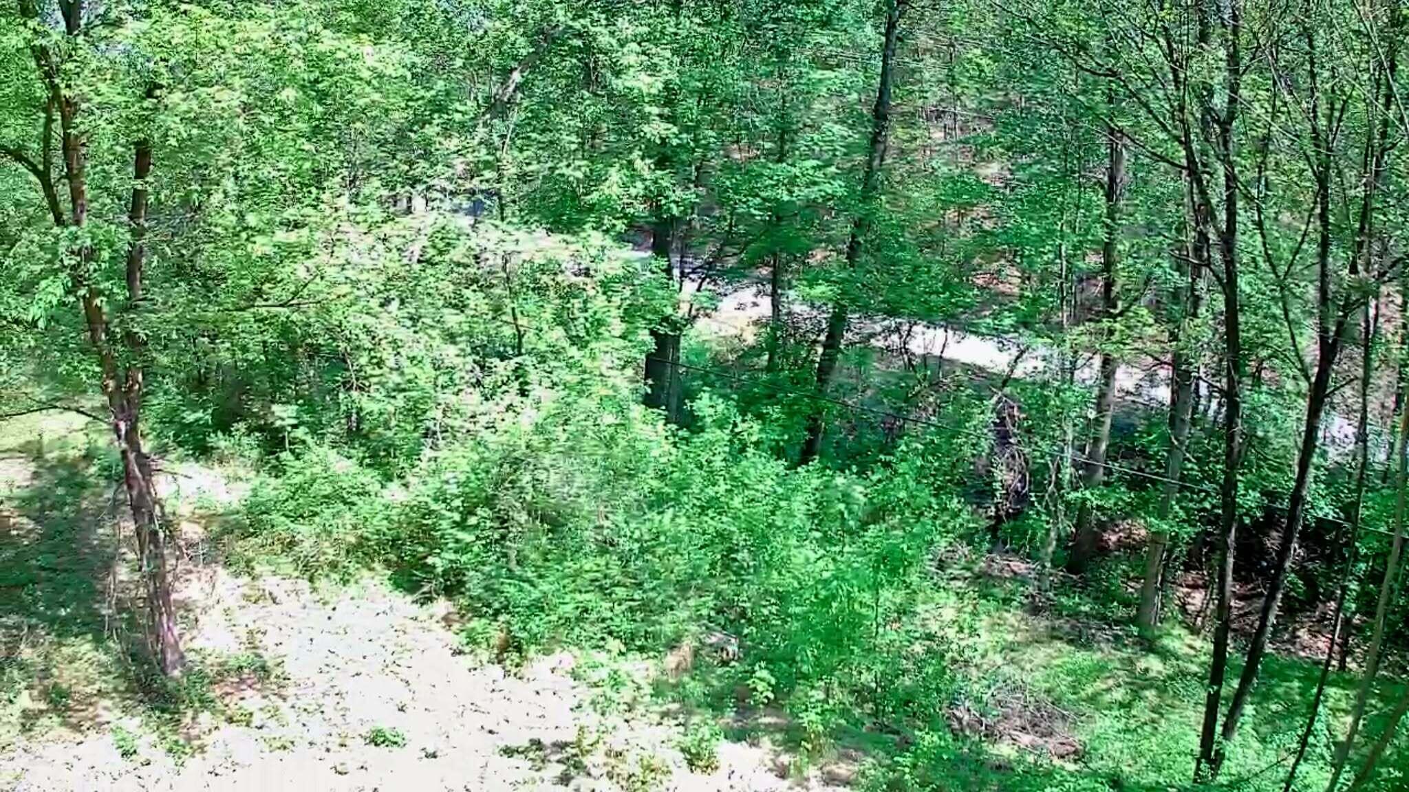 3734 Highway 41 Ringgold, GA 30736 - Photo 3 of 42 2d6c2277-1f66-4c8d-a5e8-0e9a02da5b44