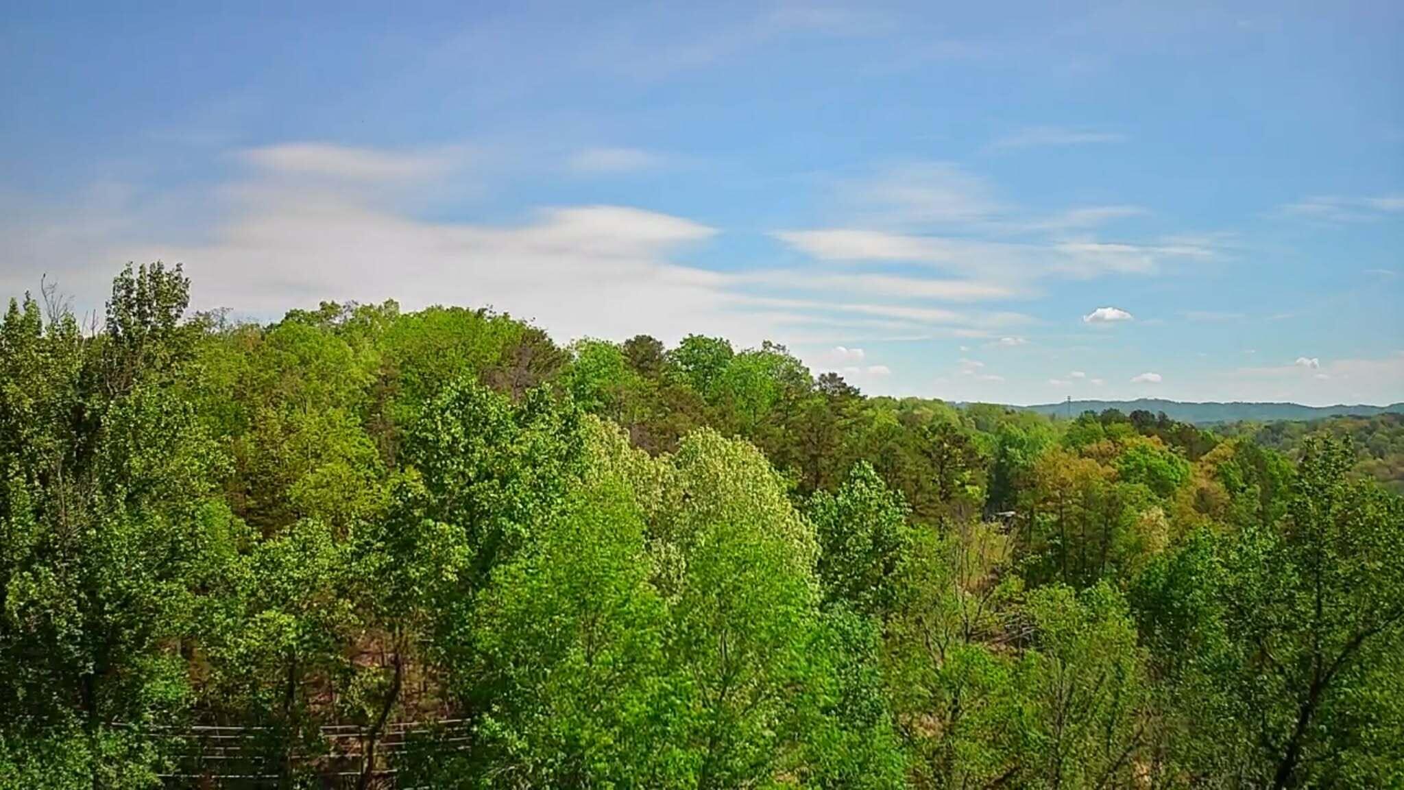 3734 Highway 41 Ringgold, GA 30736 - Photo 33 of 42 c2c2dfb9-8707-4ef0-bc62-c0520cb5dbda