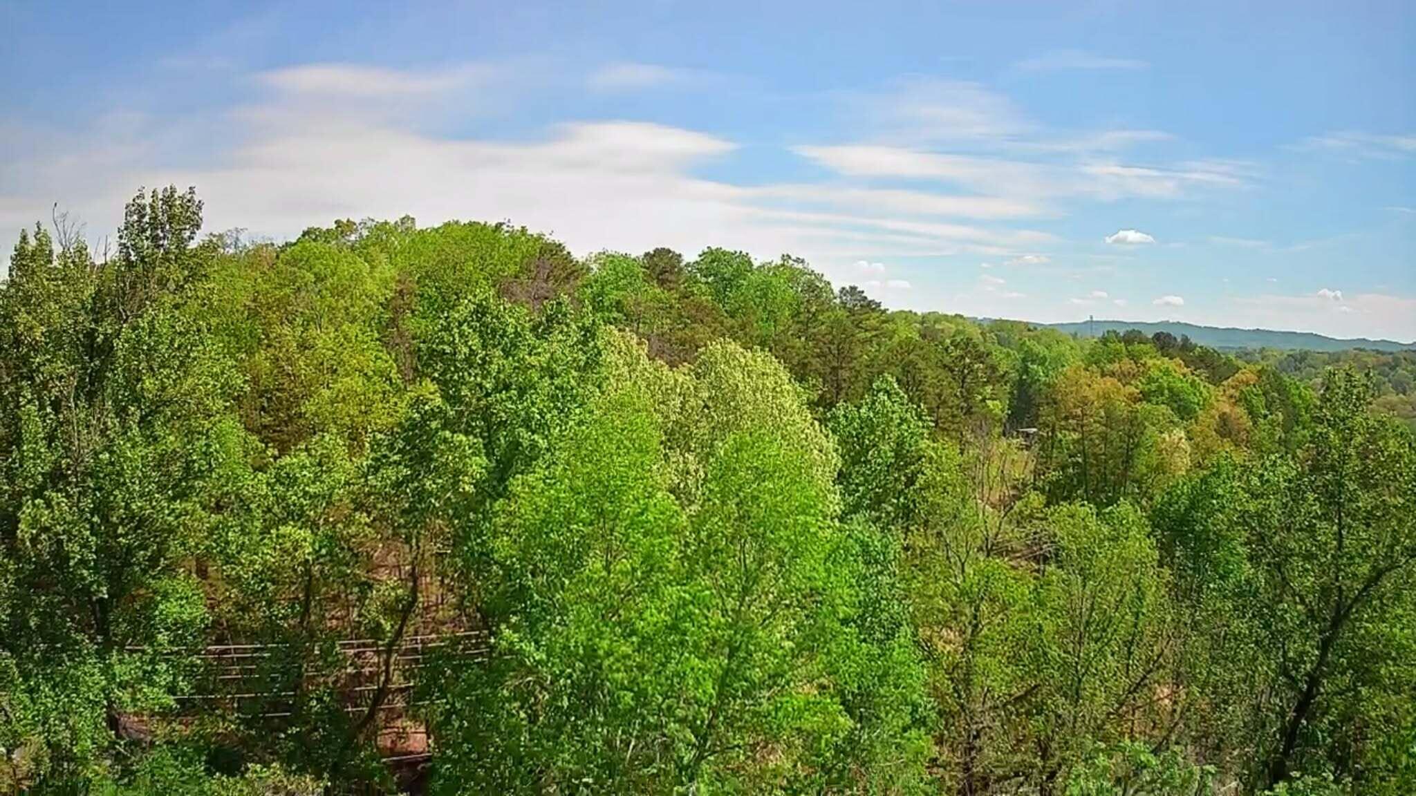 3734 Highway 41 Ringgold, GA 30736 - Photo 40 of 42 e41437c6-e93f-4b9d-bc09-46b13065b43e