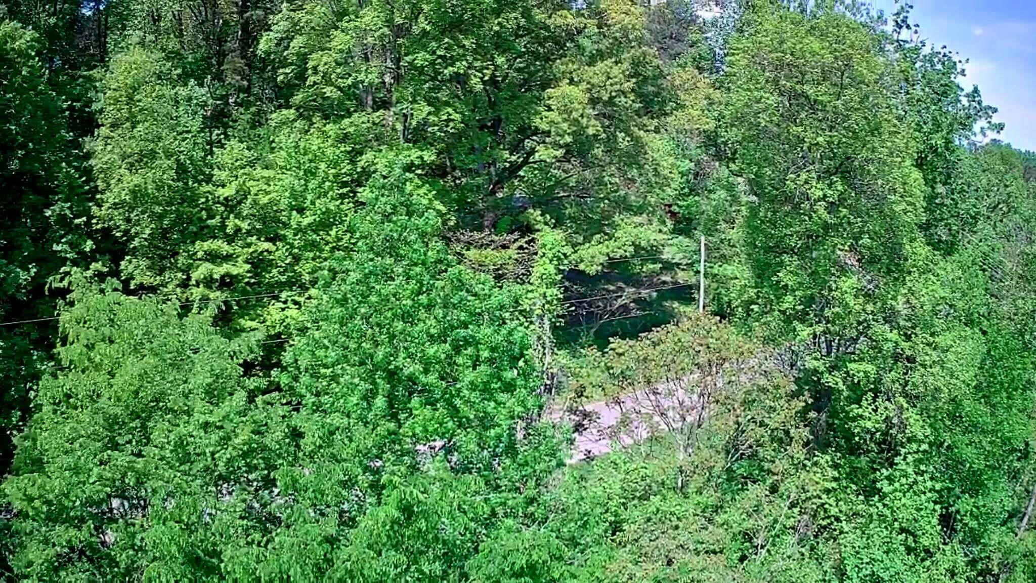 3734 Highway 41 Ringgold, GA 30736 - Photo 6 of 42 5bfdcd6b-daab-474a-a047-00d9bdfe0497