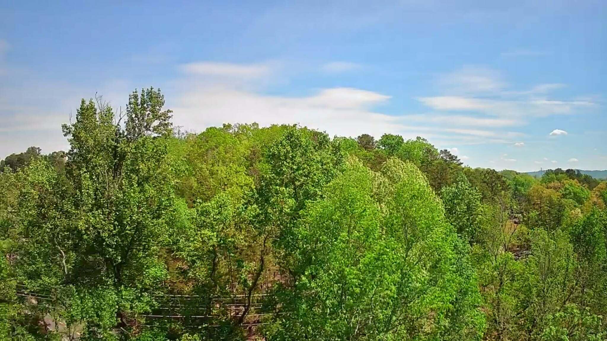 3734 Highway 41 Ringgold, GA 30736 - Photo 7 of 42 5c8a1584-a277-4e2b-82dd-be8cf45dc298