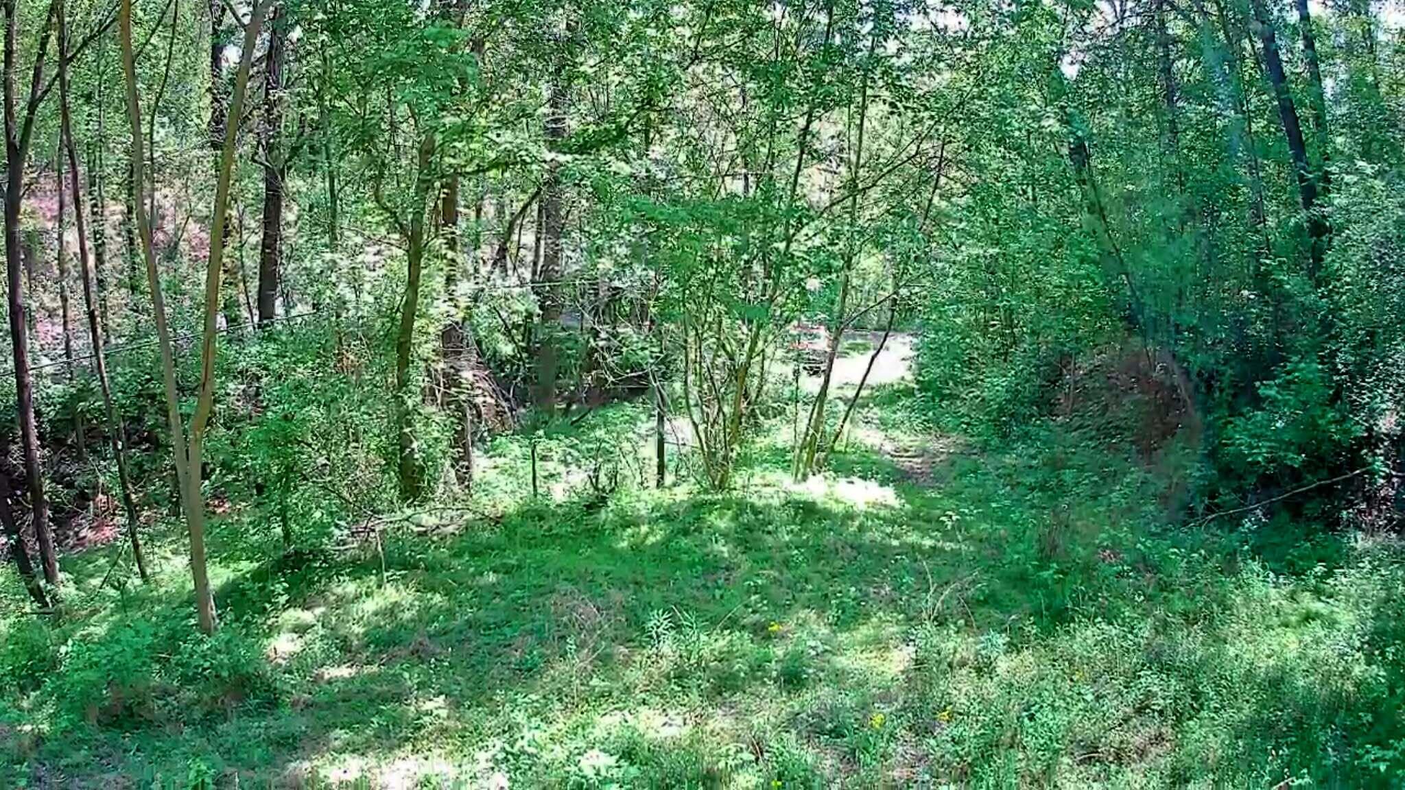 3734 Highway 41 Ringgold, GA 30736 - Photo 9 of 42 6e8b389d-b29a-4add-9169-640949f6d832