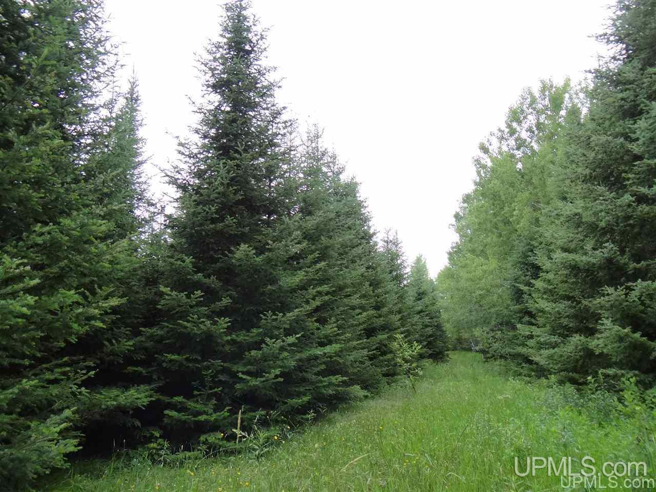 12939 Pelto Road Baraga, MI 49908 - Photo 13 of 36 Gallery Image 13