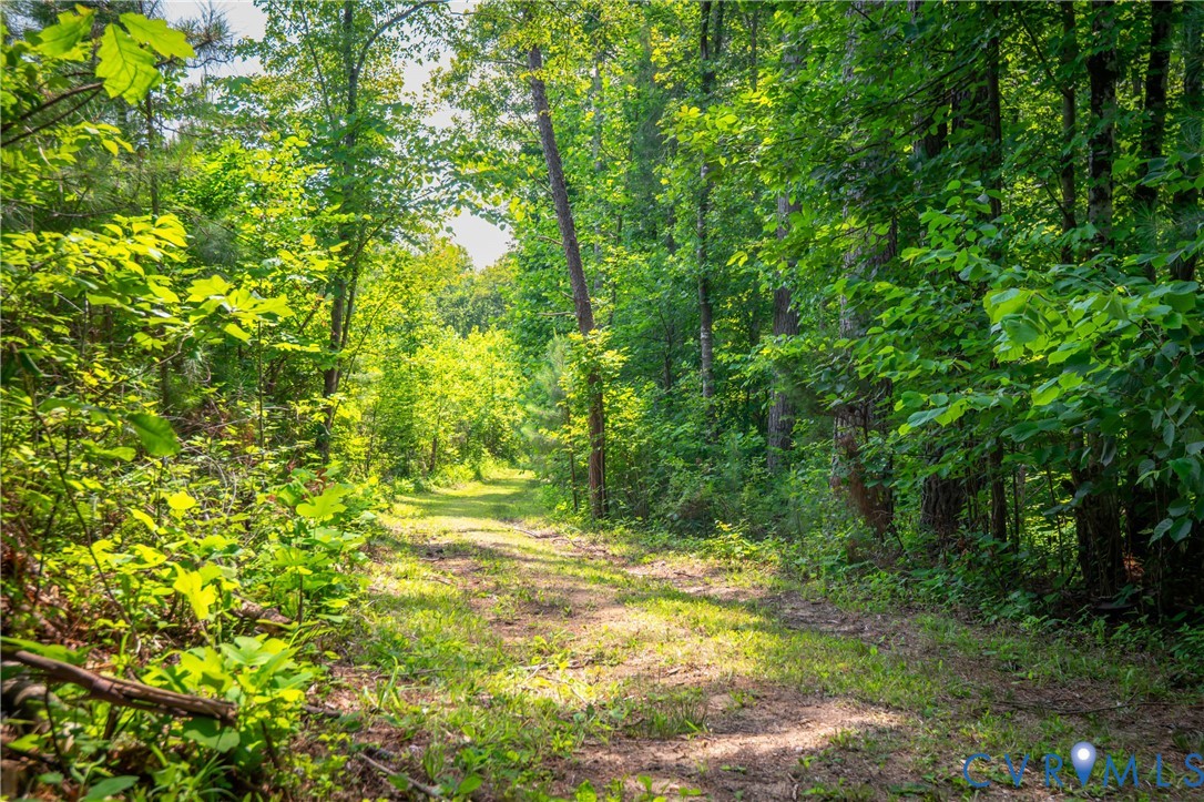 0 Chellowe Road Dillwyn, VA 23936 - Photo 17 of 52 a view of outdoor space and yard