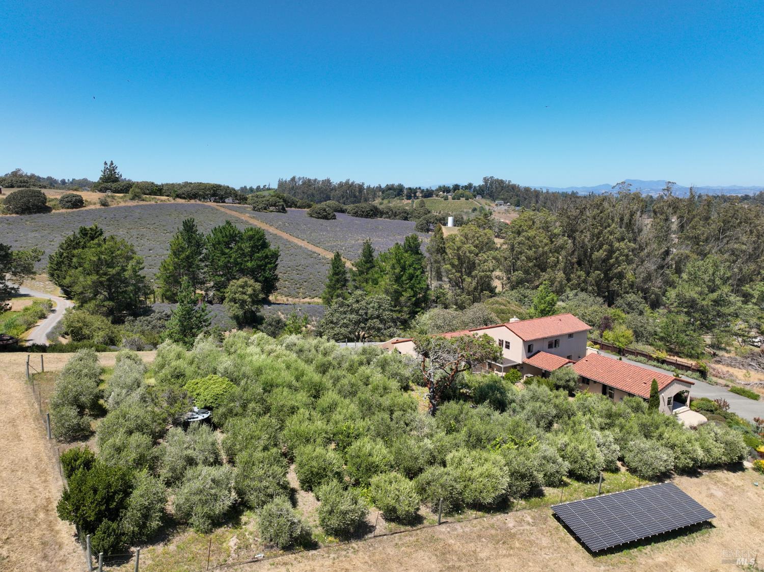 3518 Bloomfield Road Sebastopol, CA 95472 - Photo 79 of 88