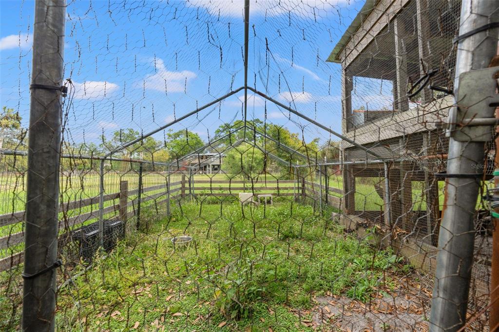 4508 Spring Road Valrico, FL 33596 - Photo 49 of 53
