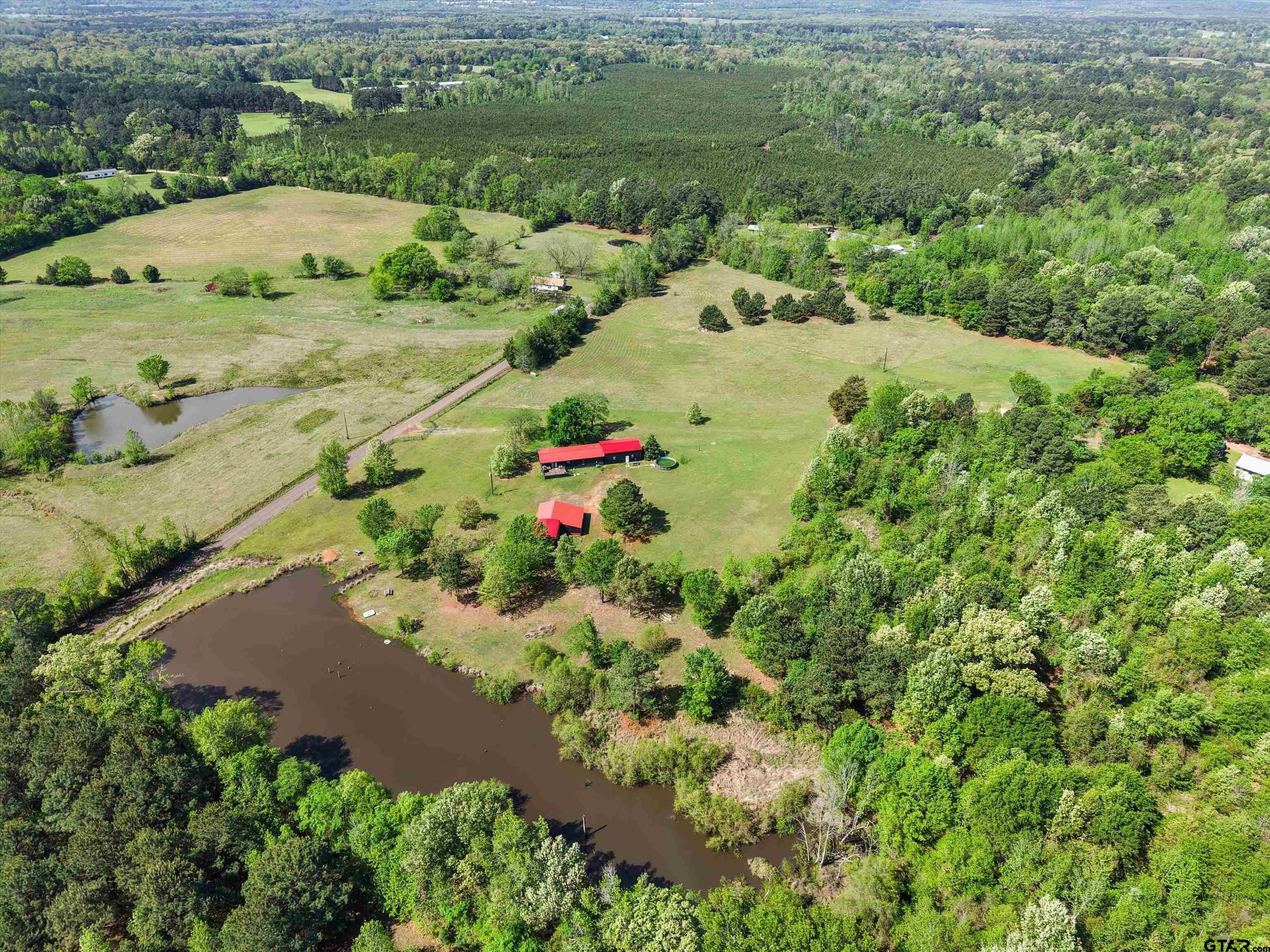 1333 Lupine Road Gilmer, TX 75644 - Photo 9 of 43