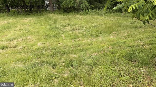 2060 Adams Road East Greenville, PA 18041 - Photo 11 of 32 Lush green expanse awaits your vision.