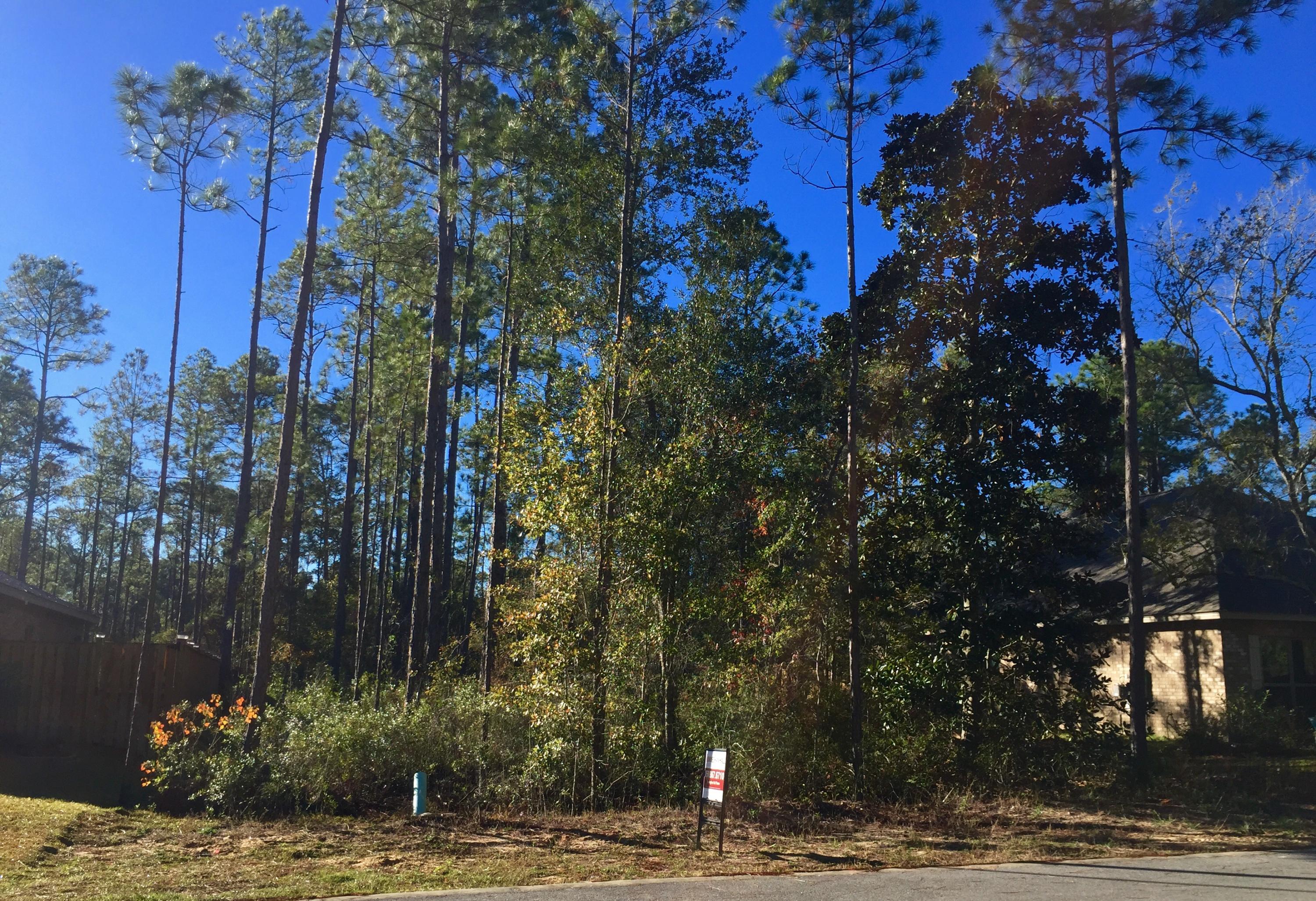 Lot 34 Cox Road Santa Rosa Beach, FL 32459 - Photo 1 of 3 Lot 34 Cox 2