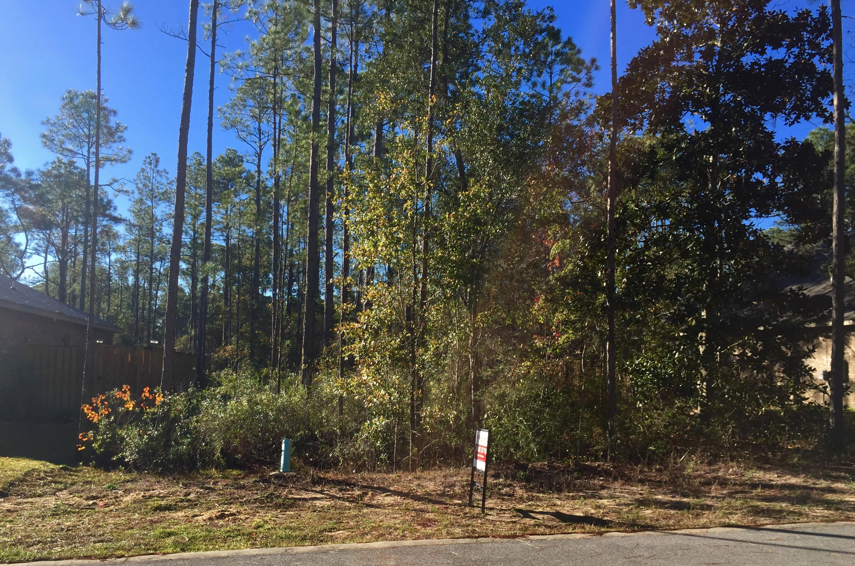 Lot 34 Cox Road Santa Rosa Beach, FL 32459 - Photo 2 of 3 Lot 34 Cox