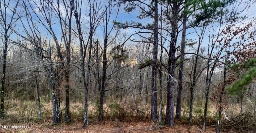 1178 Stump Ridge Road Brandon, MS 39047 - Photo 3 of 8 IMG_3106